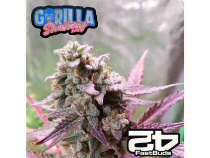 Strawberry Gorilla Auto Fast Buds
