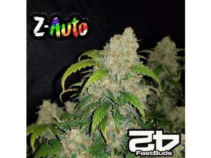 Z Auto Fast Buds