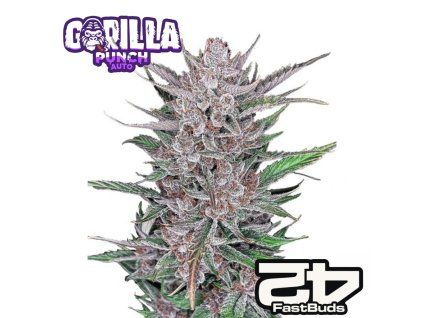 Gorilla punch auto Fast Buds 1