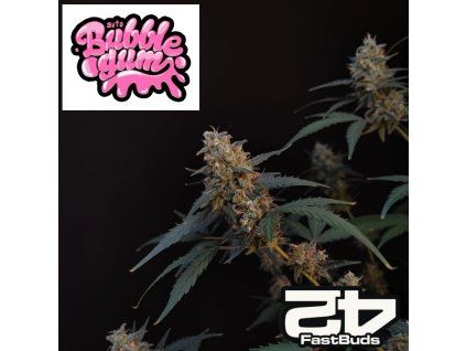 Bubblegum auto fastbuds 1