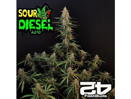 Sour Diesel Auto fastbuds 1