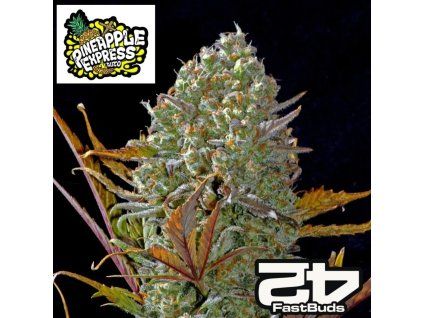 Pineapple Express Auto fastbuds 1