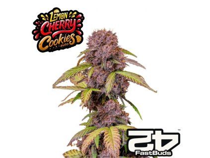 Lemon cherry cookies fastbuds 1