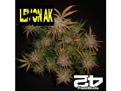 Lemon Ak Auto Fast Buds 1