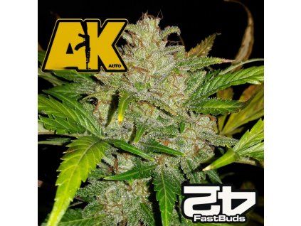 Original AK Auto Fast Buds 1