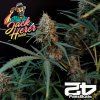 Original Jack Herer Auto Fast Buds