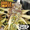 Gorilla Cookies Auto Fast Buds 1