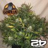Gorilla Auto Fast Buds 1