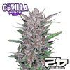 Gorilla punch auto Fast Buds 1