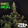 Sour Diesel Auto fastbuds 1