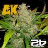 Original AK Auto Fast Buds 1