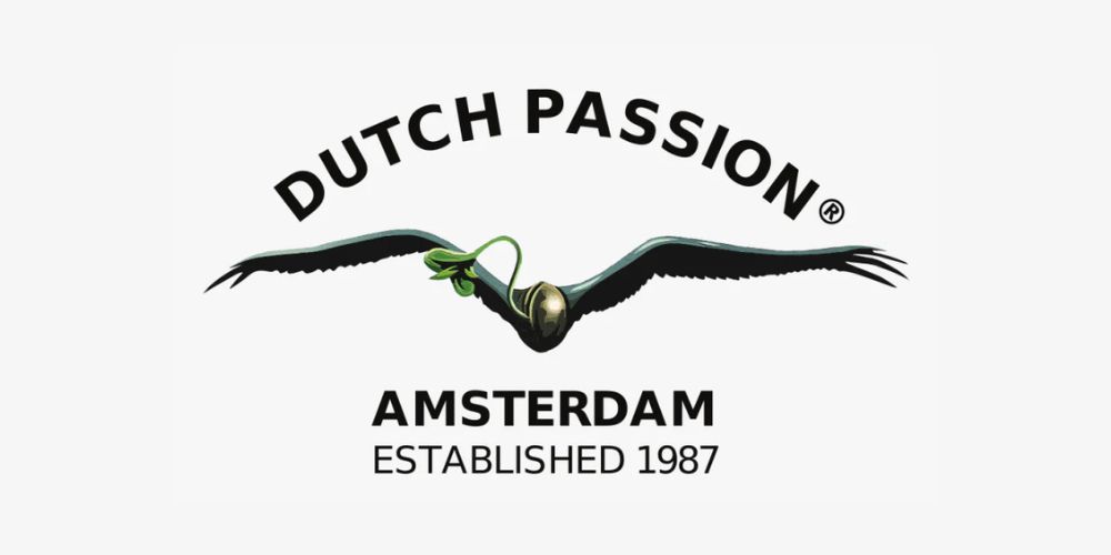 Dutch Passion – špičková holandská seedbanka s tradíciou od roku 1987