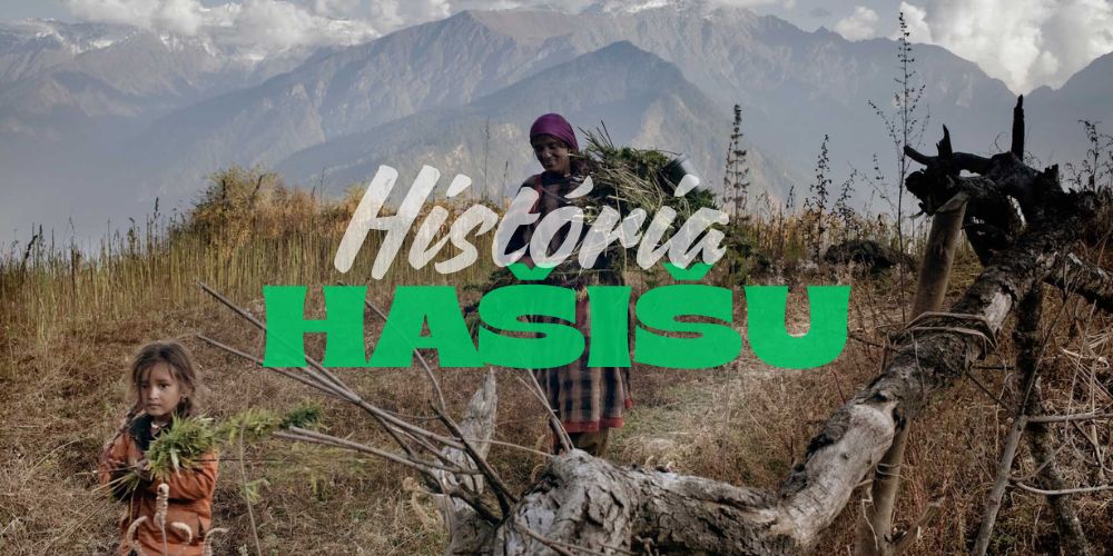 Hašiš – história, výroba, druhy a účinky jedného z najsilnejších produktov z konope