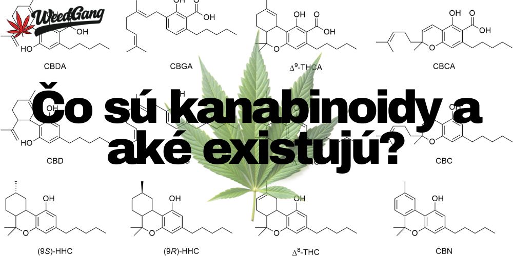 Čo  a aké kanabinoidy existujú?