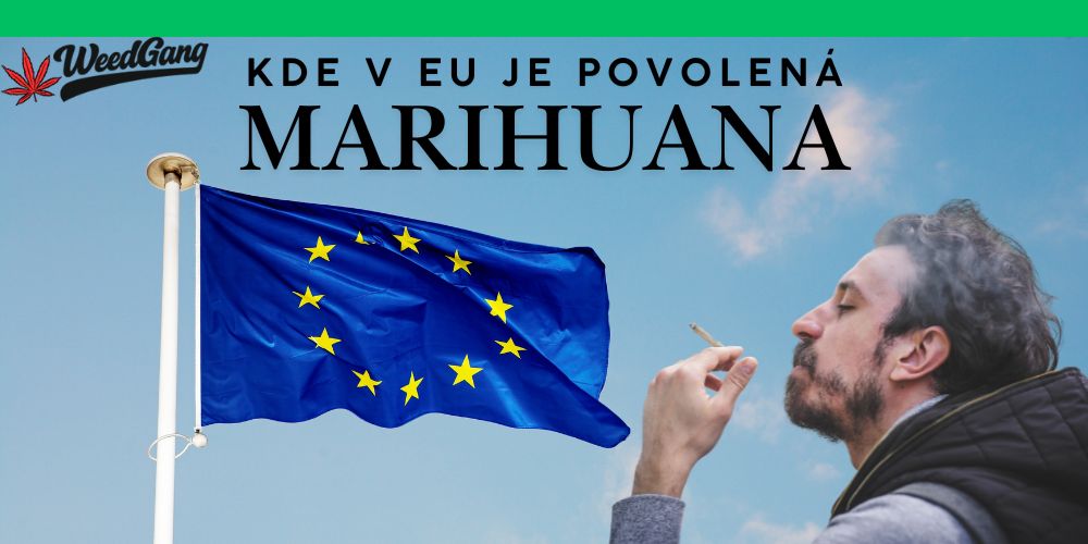 Marihuana v EU – kde je povolená a kde nie?