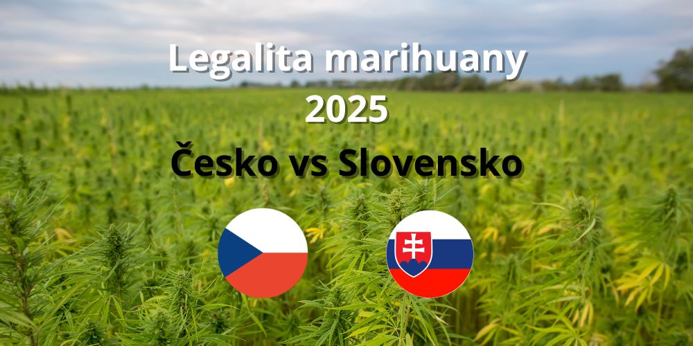 Marihuana legálna? Česká republika vs. Slovensko (2025)