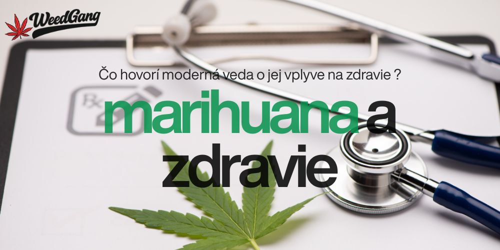 Marihuana účinky – čo hovorí moderná veda o jej vplyve na zdravie
