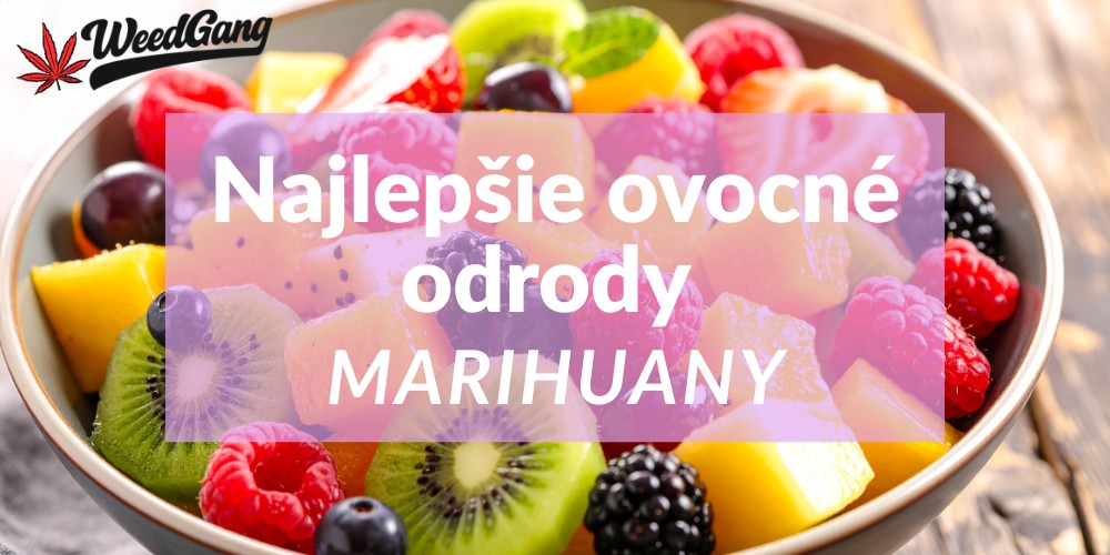 Najlepšie ovocné odrody marihuany