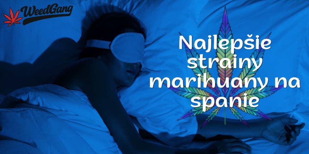 Najlepšie strainy marihuany na spanie