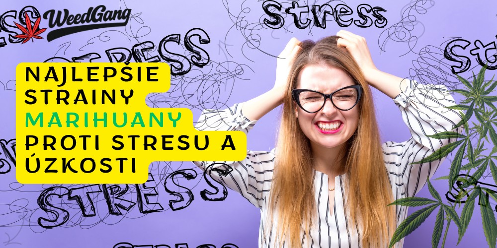 Najlepšie strainy marihuany proti stresu a úzkosti