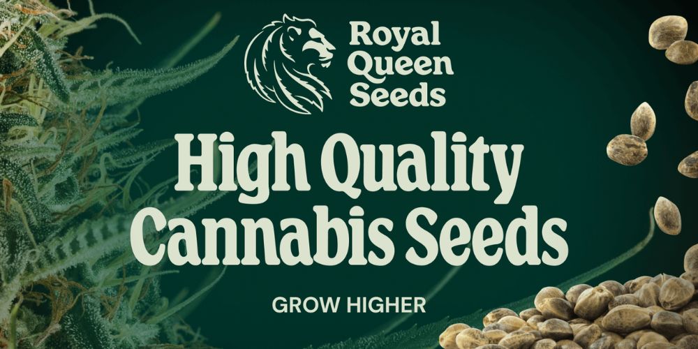 Royal Queen Seeds – európska kvalita a spoľahlivé genetiky pre každého pestovateľa