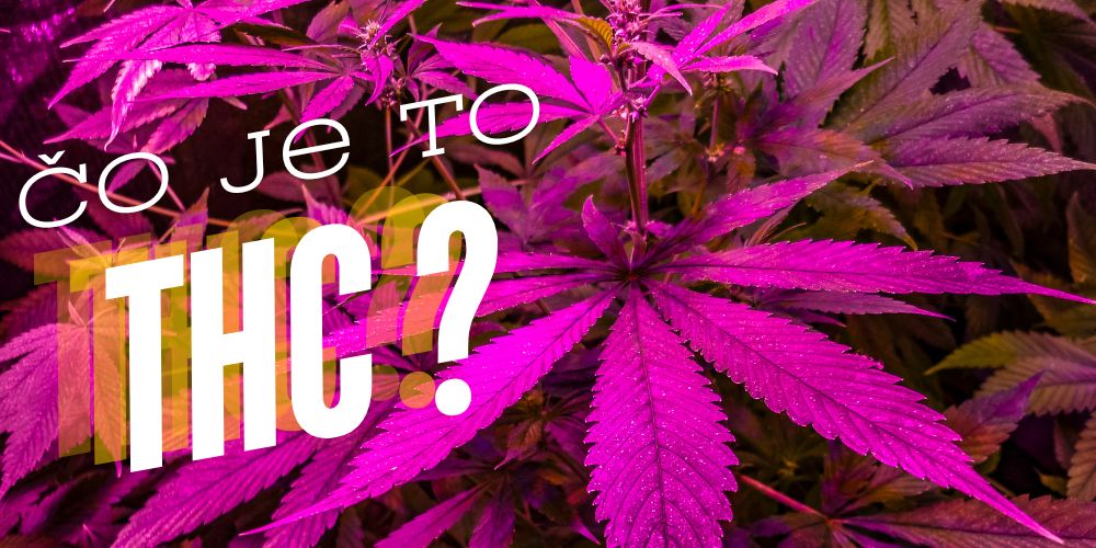 Čo je to THC?