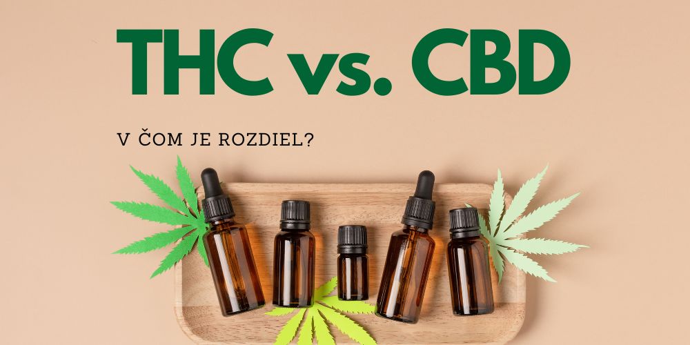 THC vs. CBD – v čom je rozdiel?
