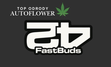 fastbuds seedbank ponuka autoflower semien weedgang
