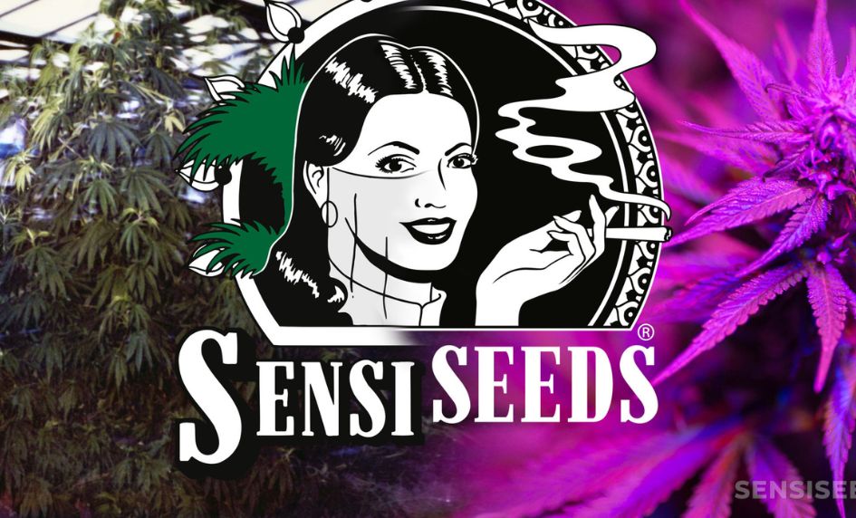 Sensi seeds seedbank