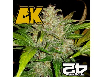 Original AK Auto Fast Buds 1