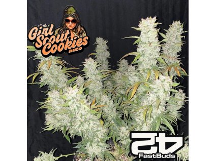 Girl Scout Cookies Auto Fast Buds B 1