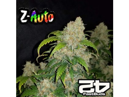 Z Auto Fast Buds