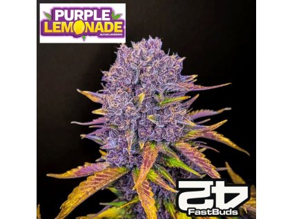 Purple Lemonade Auto Fastbuds 1