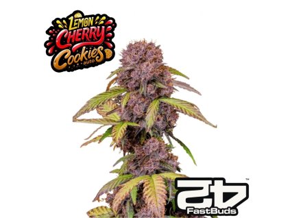 Lemon cherry cookies fastbuds 1