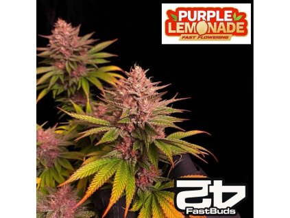 Purple Lemonade FF fastbuds 1