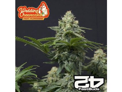 Wedding Cheesecake FF fastbuds 1