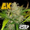 Original AK Auto Fast Buds 1