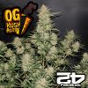 Original OG Kush Auto Fast Buds