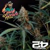 Original Jack Herer Auto Fast Buds