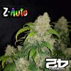 Z Auto - FastBuds 42