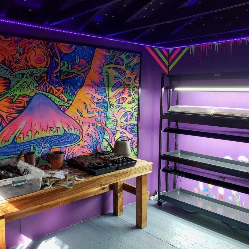 Zimní spánek: jak správně uskladnit výbavu na pěstování konopí, aby vydržela