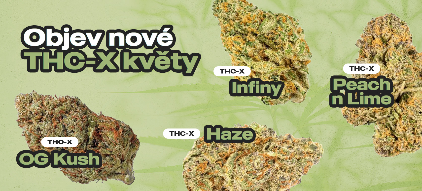 Nové THC-X květy 🔥