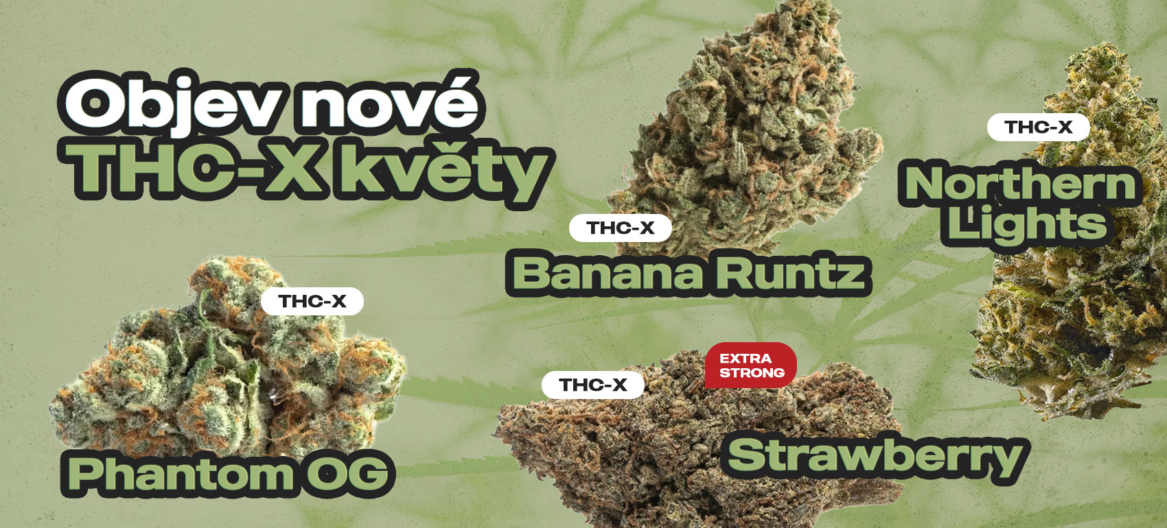 Nové THC-X květy 🔥