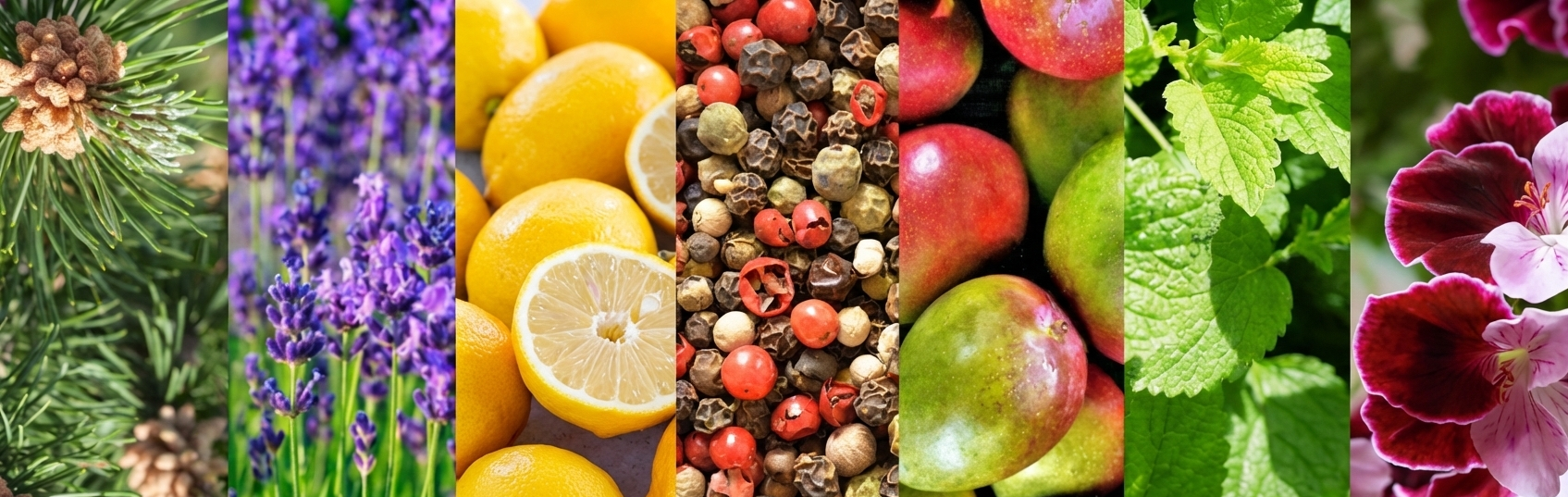 Gemini_Generated_Image_2m59vo2m59vo2m59