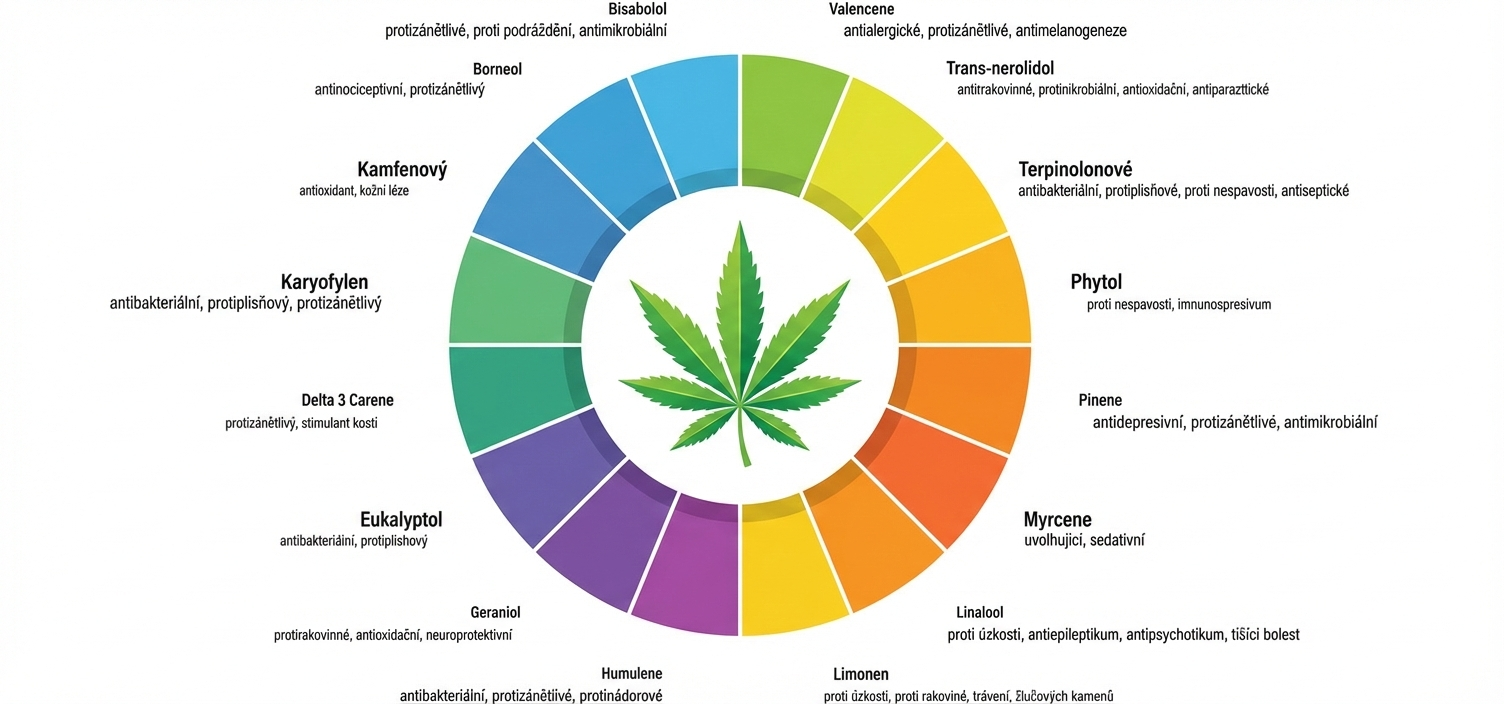 Gemini_Generated_Image_k68ldxk68ldxk68l