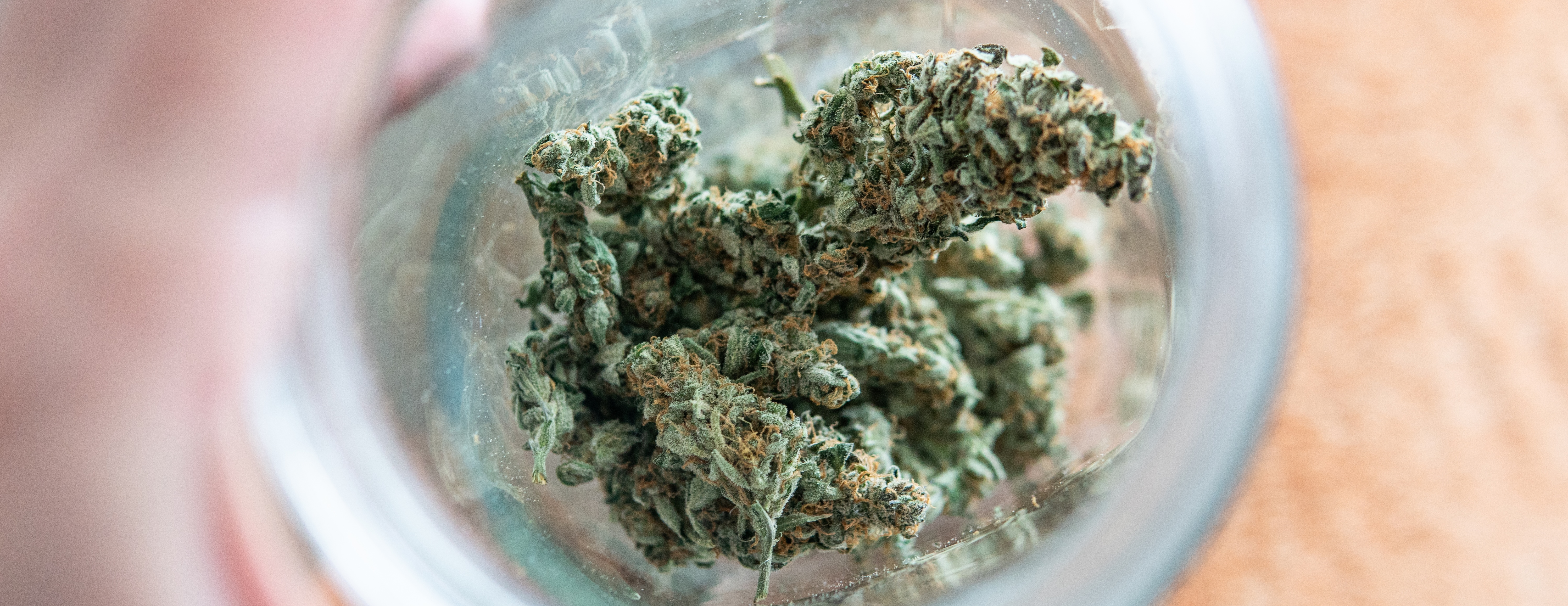 close-up-cigarette-container