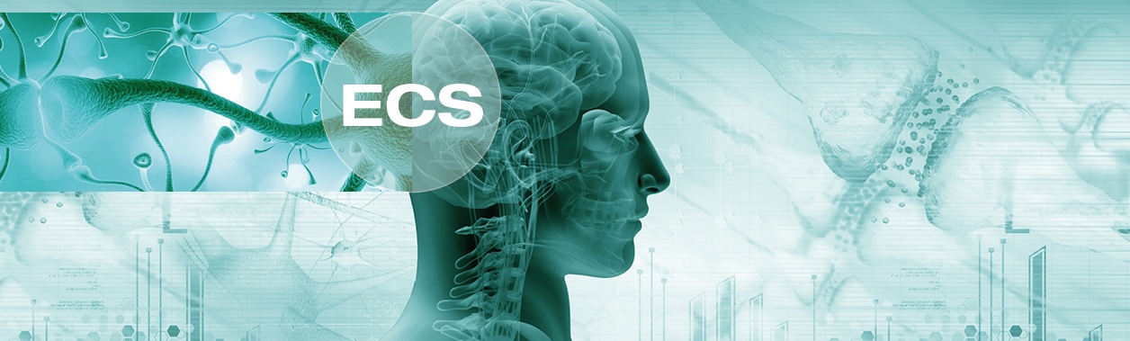 endocannabinoid-system-01