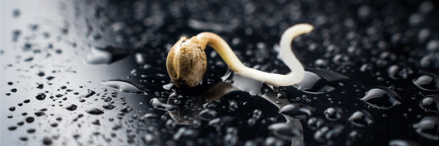 freepik__expand__15205