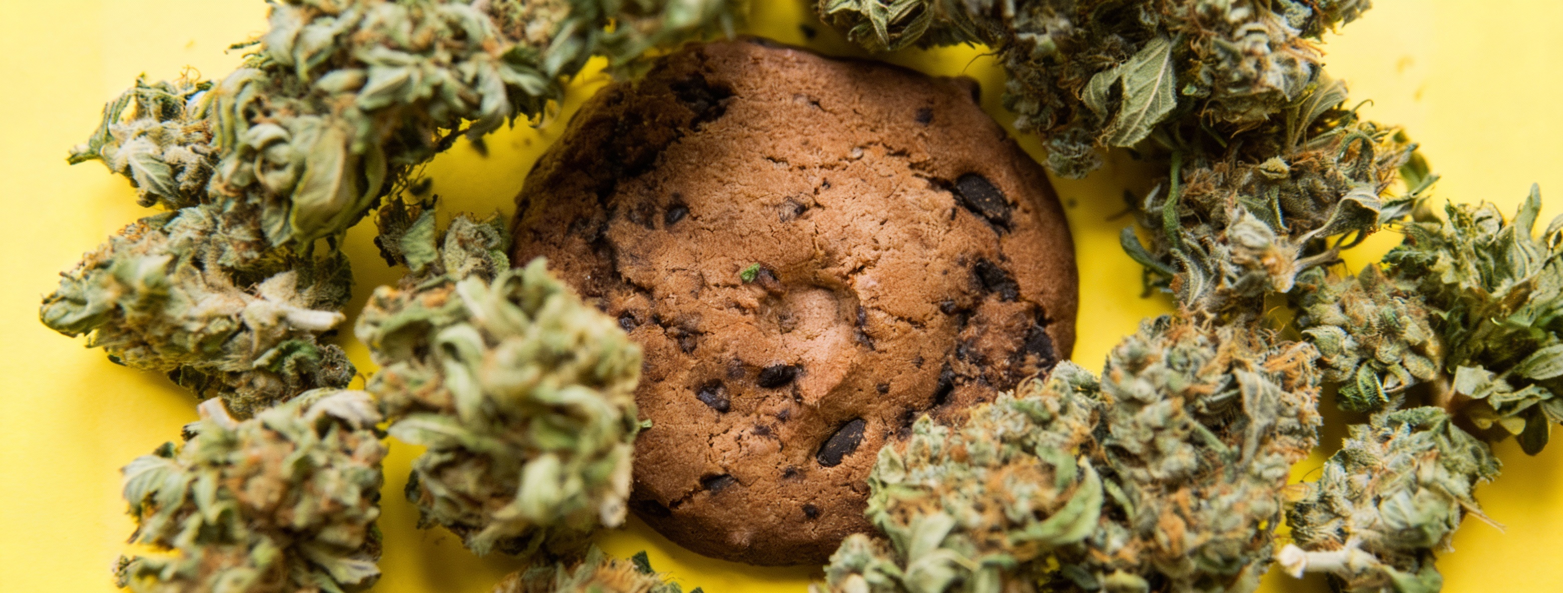 freepik__please-resize-the-image-as-instructed-dont-change-__48815