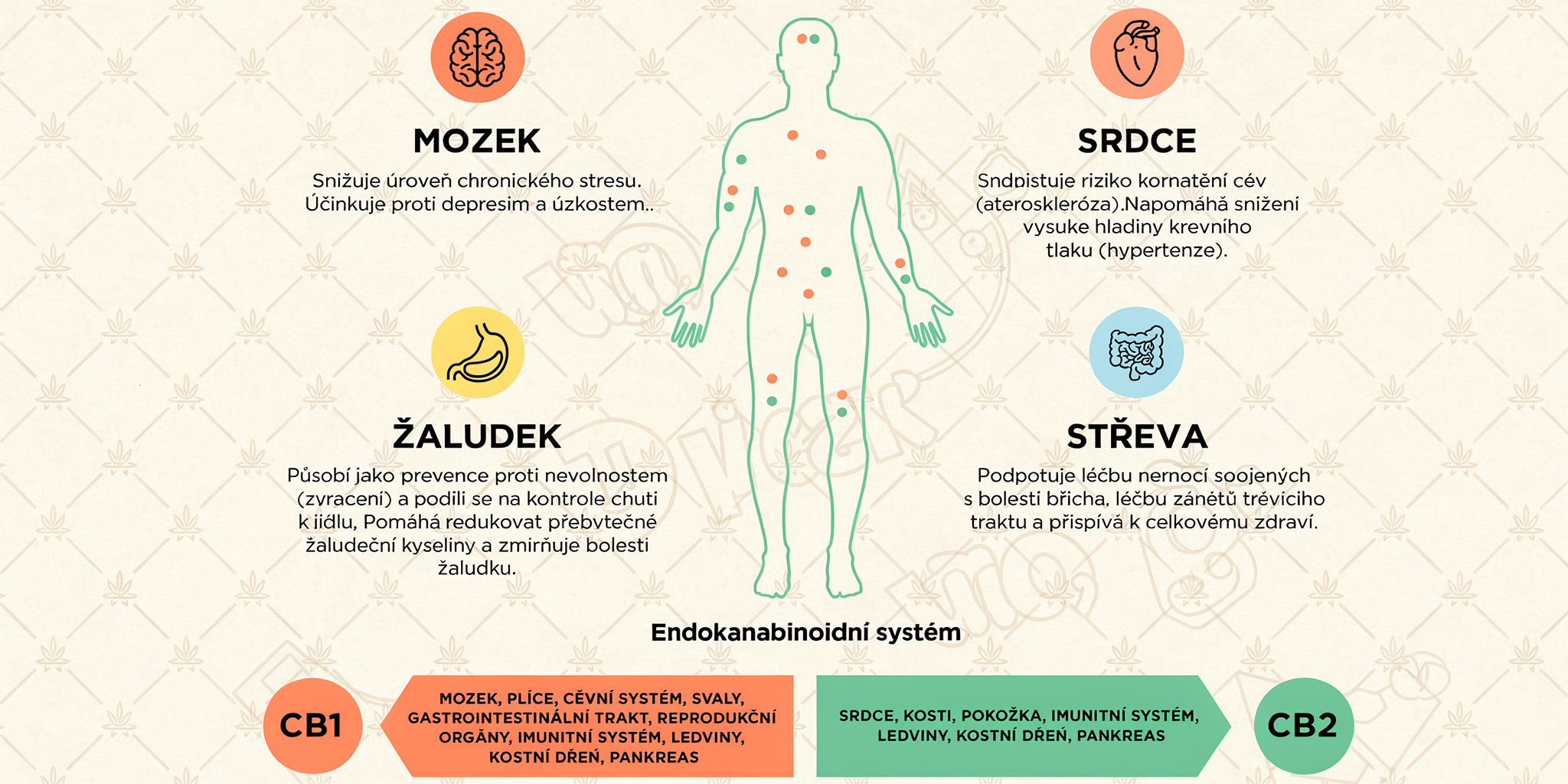 freepik__talk__68898